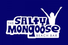 salty-mongoose-logo-concept-v2